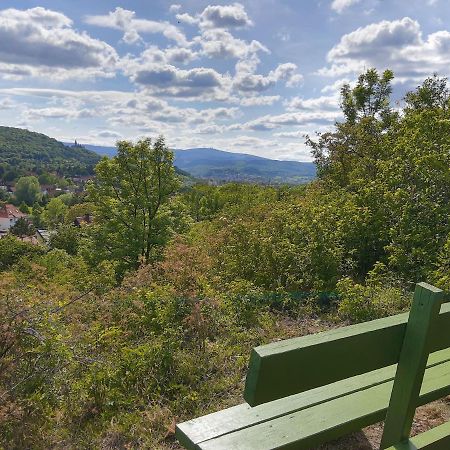 Ferienhaus Paulina Villa Wernigerode Bagian luar foto